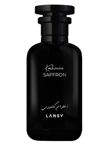 Châle Brodé Kashmiri Pour Homme – Laine Beige – Style Ethnique – Neuf Sans étiquettes