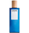 Loewe 7 Loewe