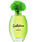 parfum Cabotine