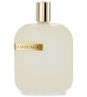 The Library Collection Opus V Amouage