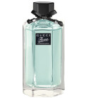 Gucci 2025 perfume blue