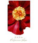 fragancia Bulgarian Rose