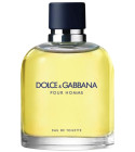 Dolce&Gabbana Pour Homme (2012) Dolce&Gabbana