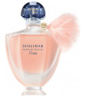 Die Rangliste unserer qualitativsten Shalimar parfum initial