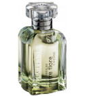 armani cedre fragrantica
