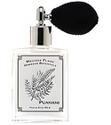 Гардения ингредиент аромата, Гардения ароматы и эфирные масла Gardenia