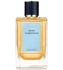 prada oud rose