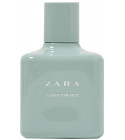 Forget Me Not Zara