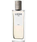 Loewe 001 Man  Loewe