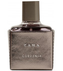 Zara Gardenia 2017 Zara
