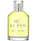 Ice Lemon Herve Gambs Paris
