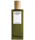 Esencia pour Homme Eau de Parfum Loewe