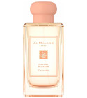 parfum Orange Blossom Cologne (2019)