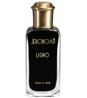 аромат Ligno