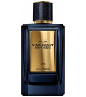 prada cargo de nuit perfume