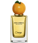 Orange Dolce&Gabbana