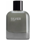 Silver Zara