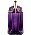 Liste unserer favoritisierten Fragile parfum