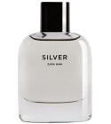 Silver Zara