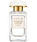 Aerin Lauder