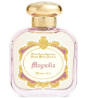Magnolia (2023) Santa Maria Novella