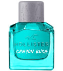 Canyon Rush For Him Hollister