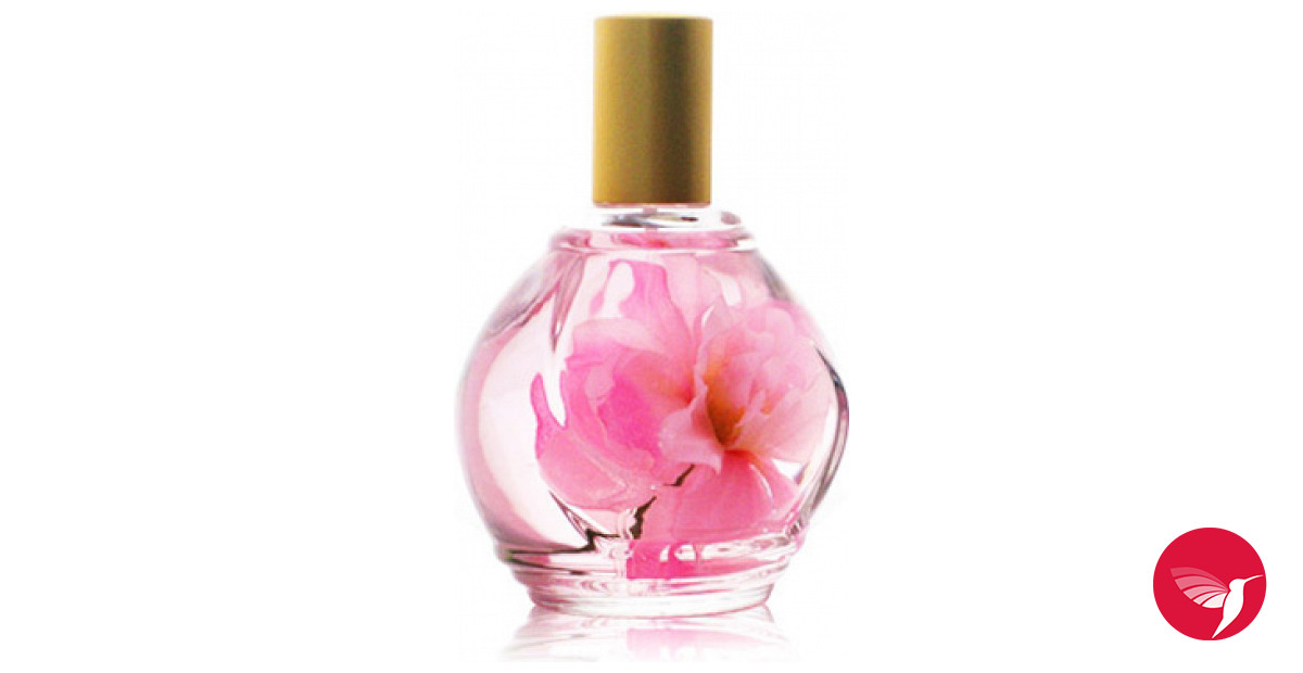 Parfum d'Ambiance Rose Guy Bouchara parfum - een geur voor dames