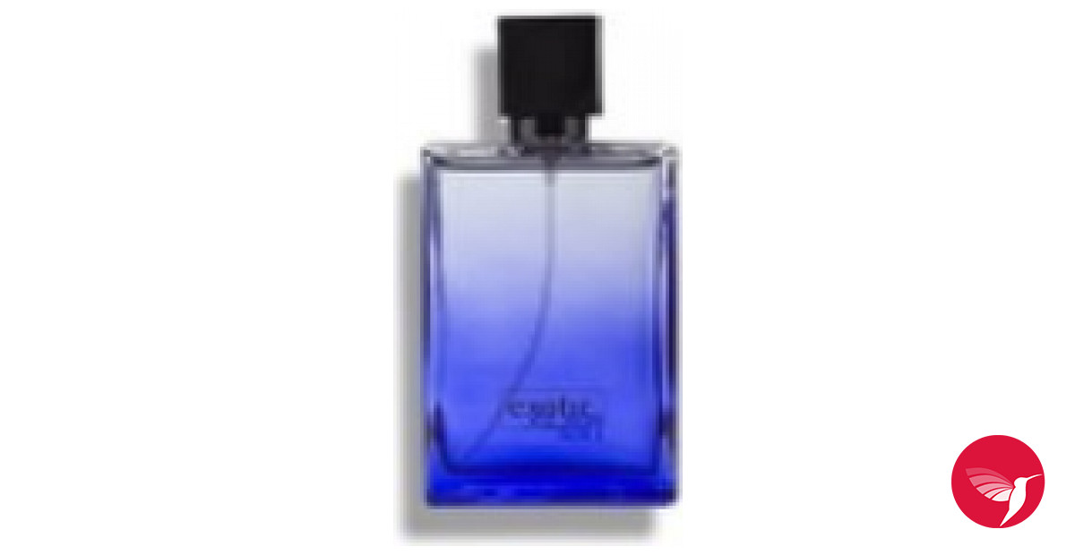 AVON BRASIL 2019 (Page 1) — Perfume de Nicho & Casas Independentes —  Perfumes Fragrantica