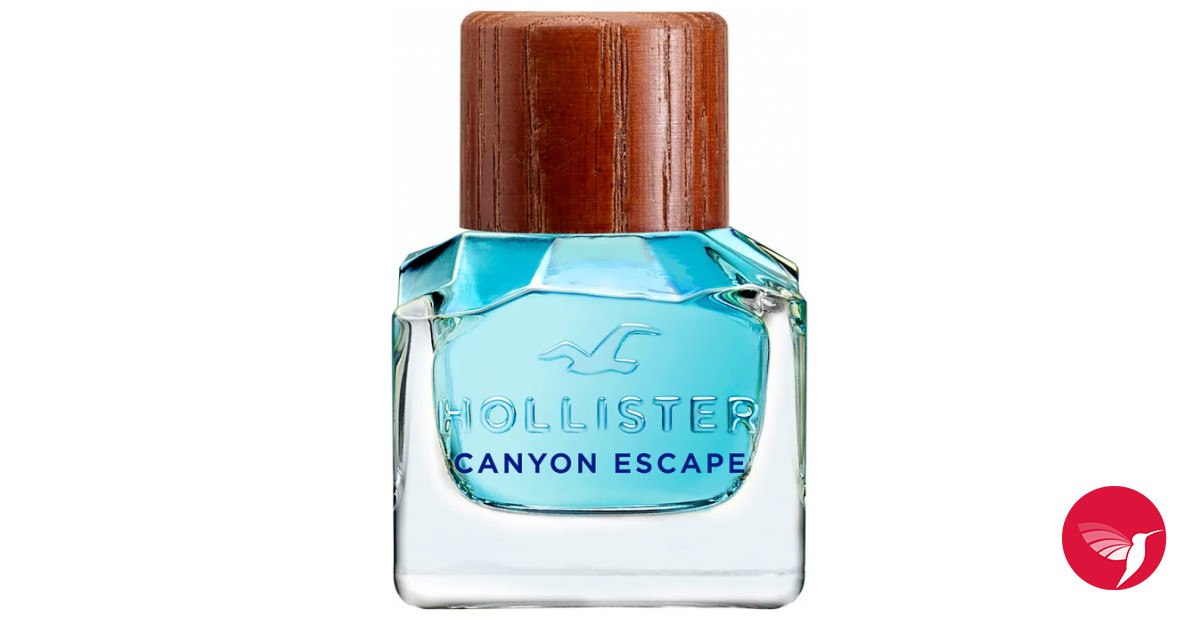 Hollister canyon escape. Hollister Canyon Escape 100ml EDT Tester men. Hollister Canyon Escape for him. Hollister Canyon Escape man 100. Каньон Парфюм.