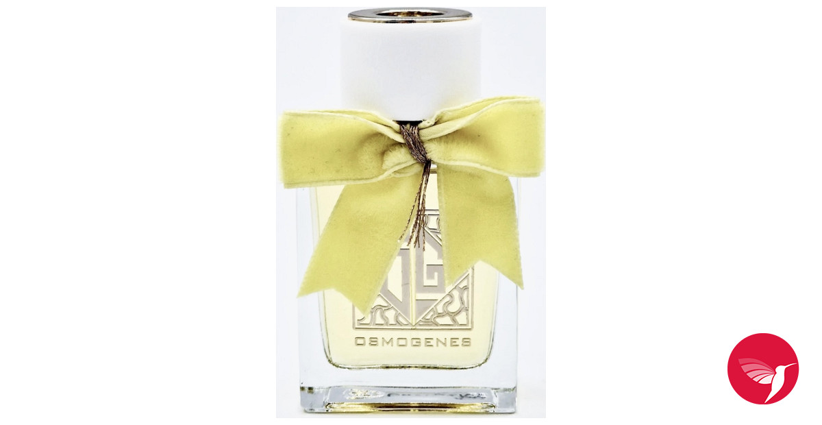 31 Rue Cambon Eau de Parfum Chanel perfume - a fragrância Feminino