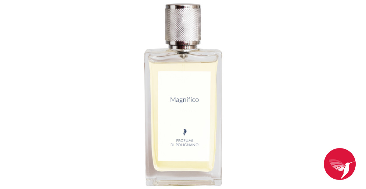 Fahrrad Kettenspanner Aus Aluminium - Kompaktes Spannwerkzeug Für Mountainbike & Citybike