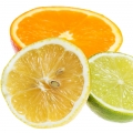 الحمضيات Citrus