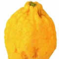 الحامض Citrus medica