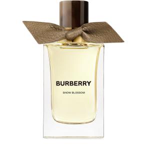 Burberry touch precio jordan best sale