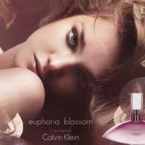 euphoria blossom notes