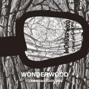 comme des garcon wonderwood