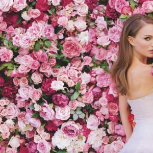 miss dior 2013 edt