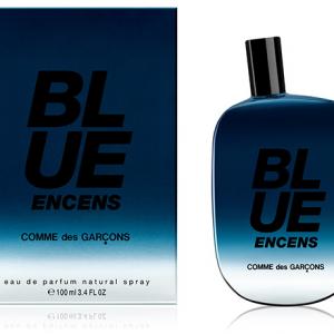 Blue Encens Comme des Garcons 香水- 一款2013年中性香水