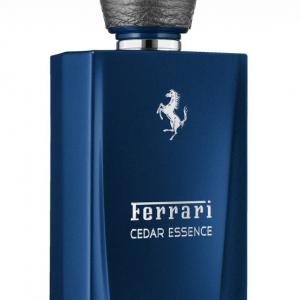 perfume polo ferrari