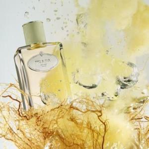 infusion de vetiver prada