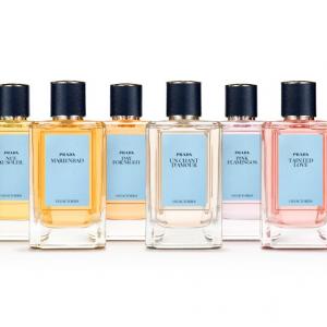 prada tainted love