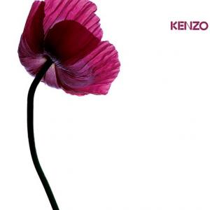 flower by kenzo boots