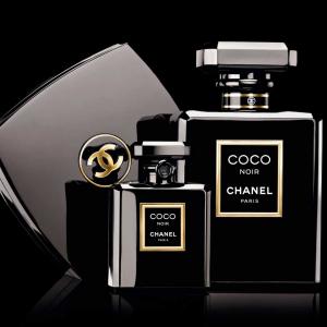 maart kunst hypotheek Coco Noir Chanel perfume - a fragrance for women 2012