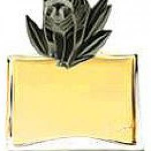 kenzo jungle tigre
