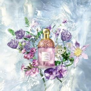 aqua allegoria flora selvaggia guerlain NIGERIAN LAW SCHOOL