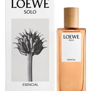 loewe solo