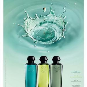 pamplemousse hermes