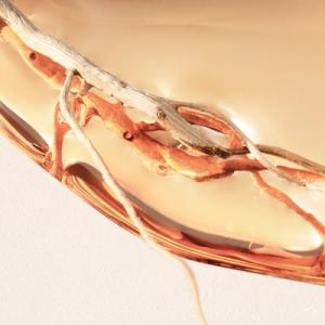 hugo boss alive fragrantica