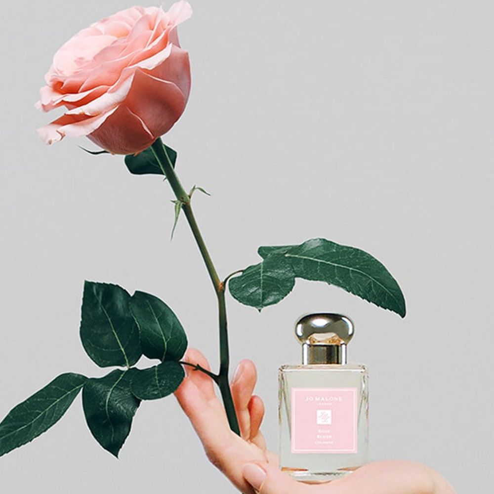 Rose Blush Cologne 2023 Jo Malone London   O.100171 