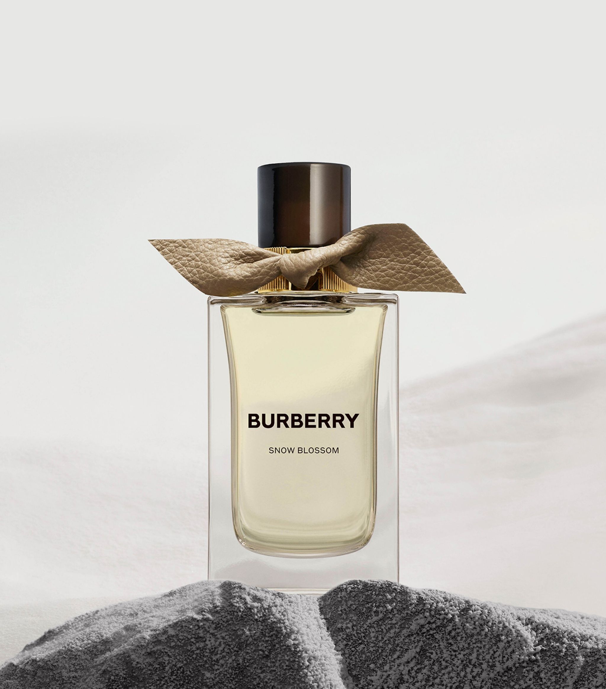 Snow Blossom Burberry perfume - a novo fragrância Compartilhável 2023